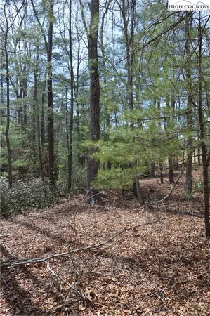 $24,900 | Lot #6 Cubs Lane, Sparta, NC 28675