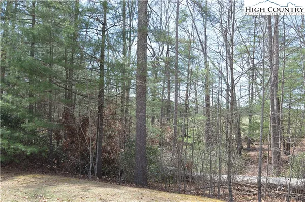 $24,900 | Lot #6 Cubs Lane, Sparta, NC 28675