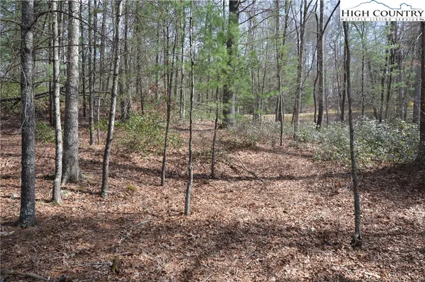 $24,900 | Lot #6 Cubs Lane, Sparta, NC 28675