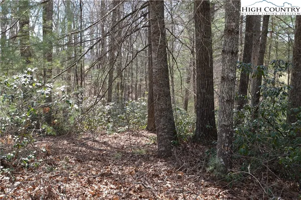 $24,900 | Lot #6 Cubs Lane, Sparta, NC 28675