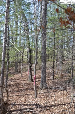 $24,900 | Lot #6 Cubs Lane, Sparta, NC 28675