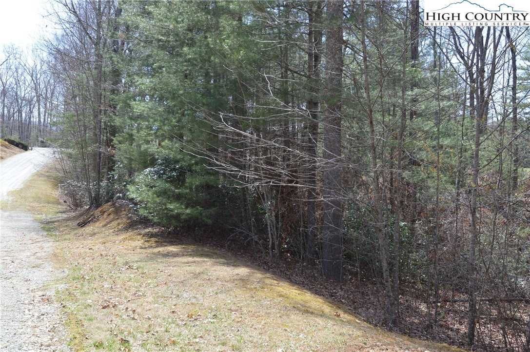 Lot #6 Cubs Lane Sparta, NC 28675 - Photo 9 of 37 a view of a pathway both side of a yard