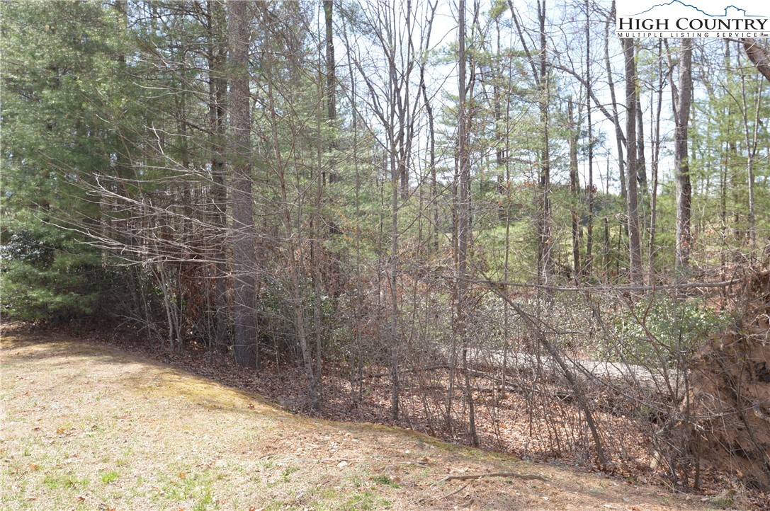 Lot #6 Cubs Lane Sparta, NC 28675 - Photo 10 of 37 a view of backyard with green space
