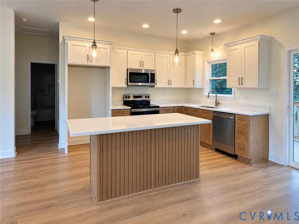46 Atkins Road Farmville, VA 23901 - Photo 3 of 12 Gallery Image 3