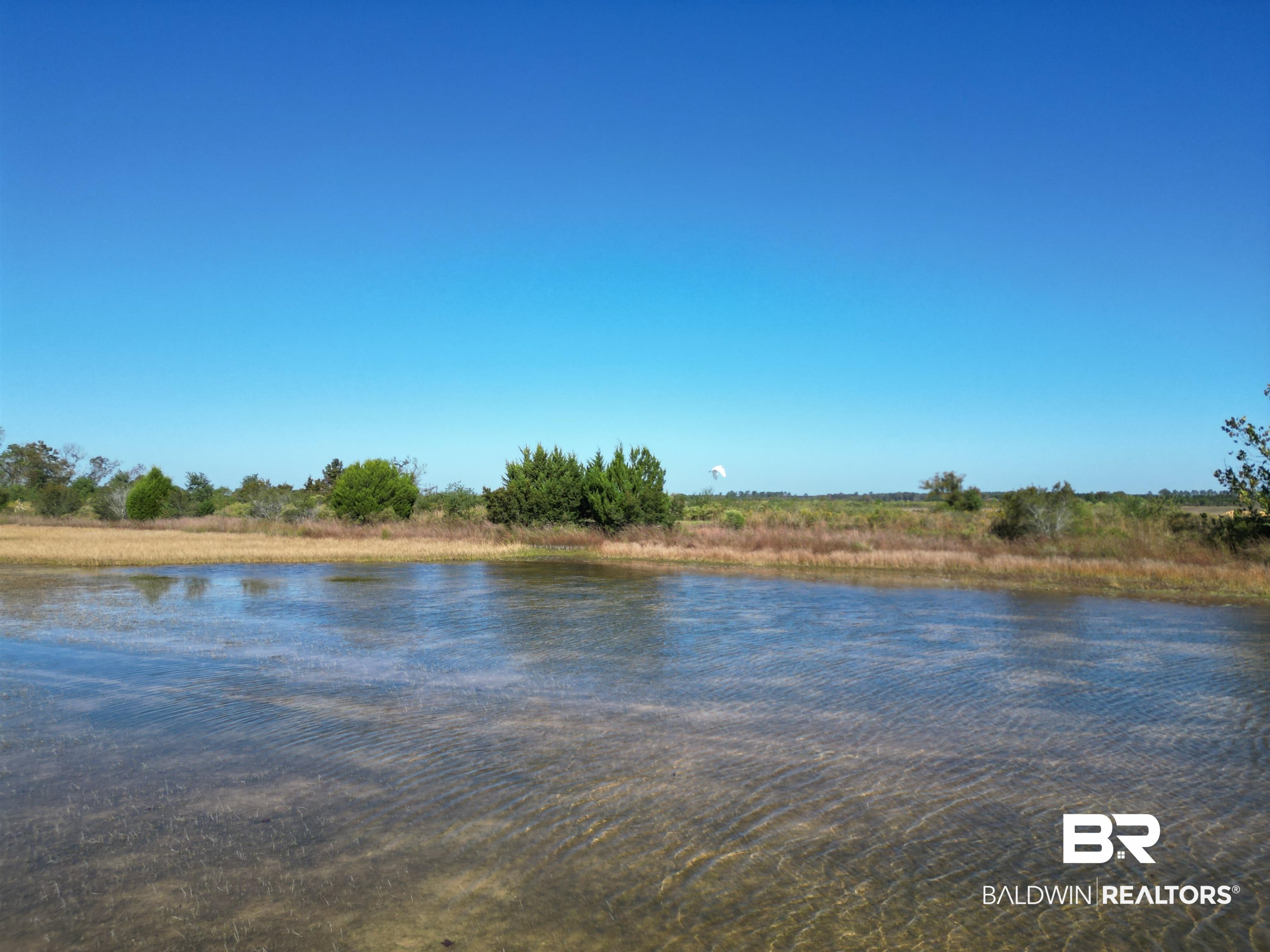 0 South Highway 99 Walnut Hill, FL 32568 - Photo 16 of 18 View of water feature