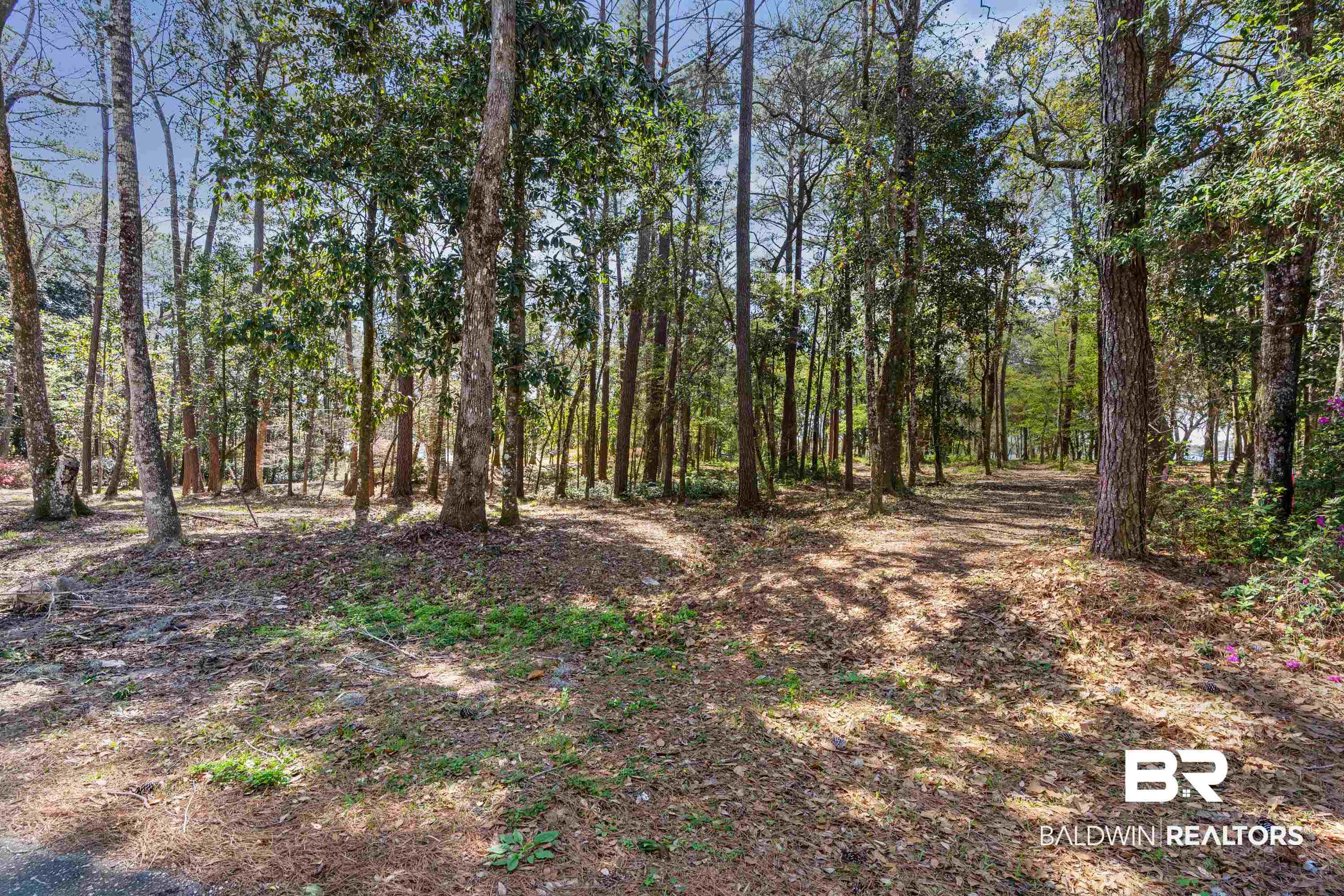 Forrest Street Mobile, AL 36605 - Photo 12 of 19