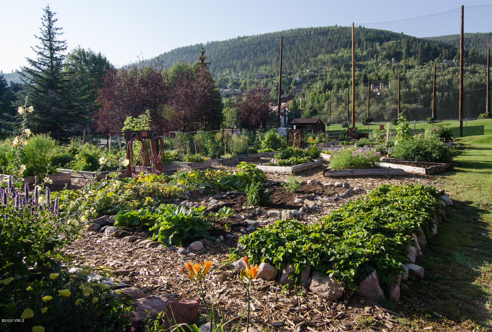 124 Eagle Road, Unit C Avon, CO 81620 - Photo 32 of 35 a view of a garden with houses