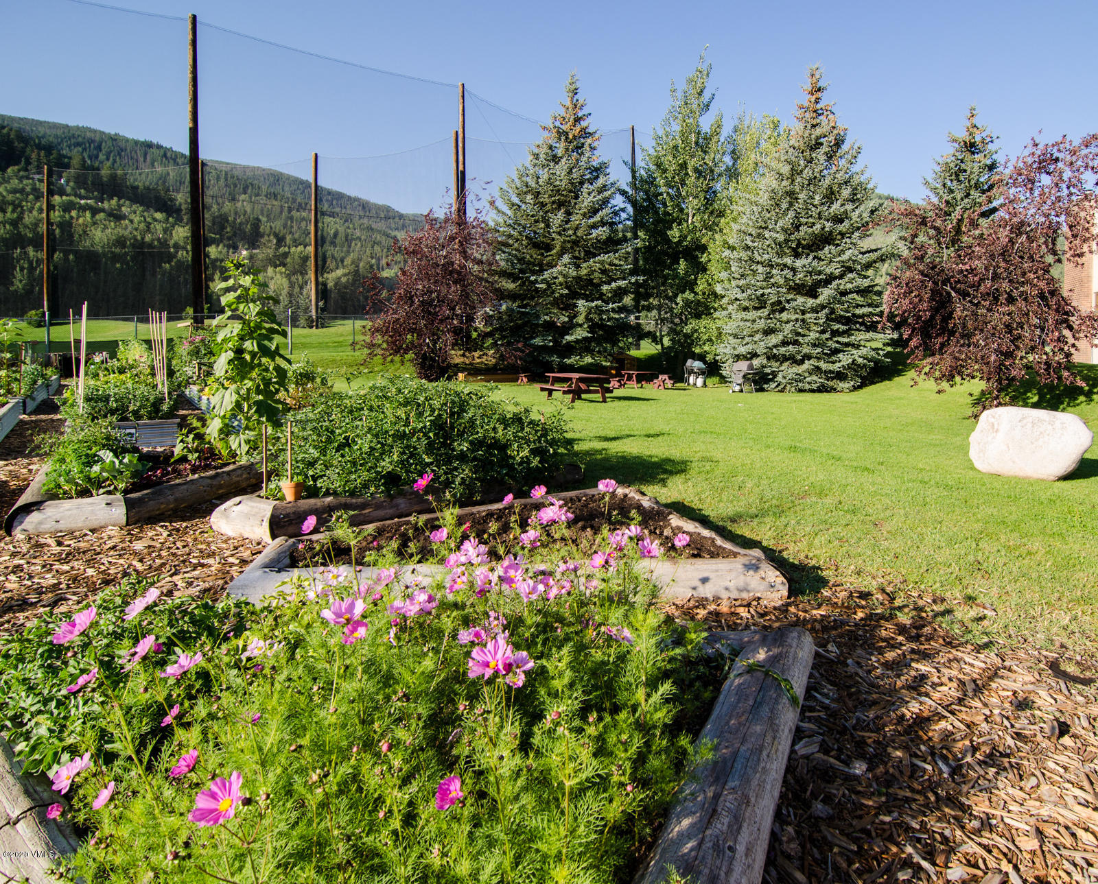 124 Eagle Road, Unit C Avon, CO 81620 - Photo 33 of 35 a view of a garden with flowers