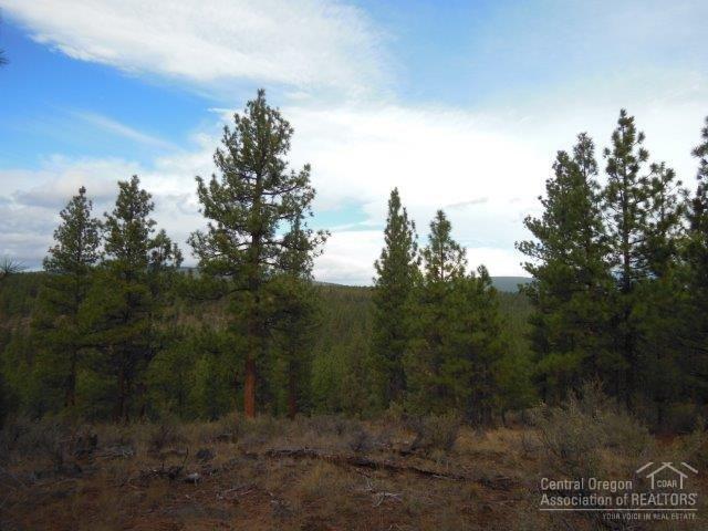 17785 Wilt Road Sisters, OR 97759 - Photo 2 of 25 a view of a city with lush green forest