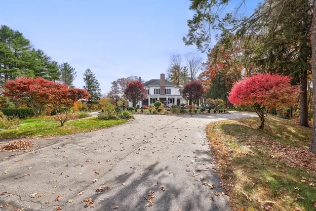 a view of a yard with a tree