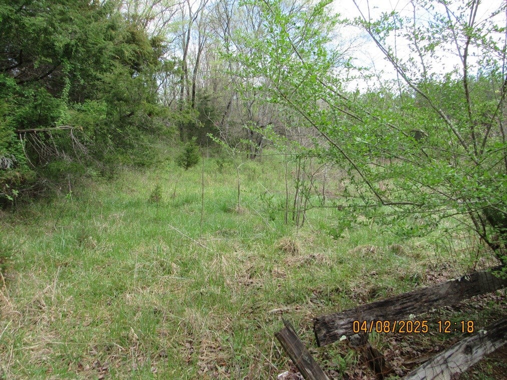 2125 School Road Dillwyn, VA 23936 - Photo 8 of 29 Gallery Image 8