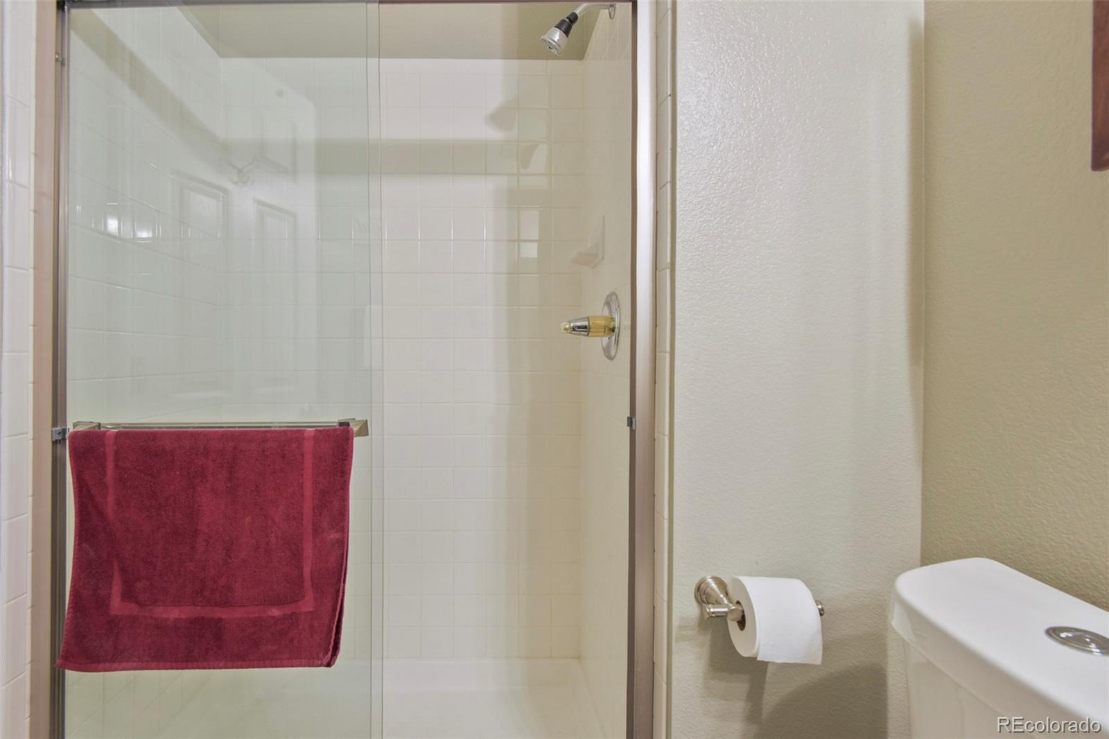 9917 Hawthorne Street Highlands Ranch, CO 80126 - Photo 15 of 40