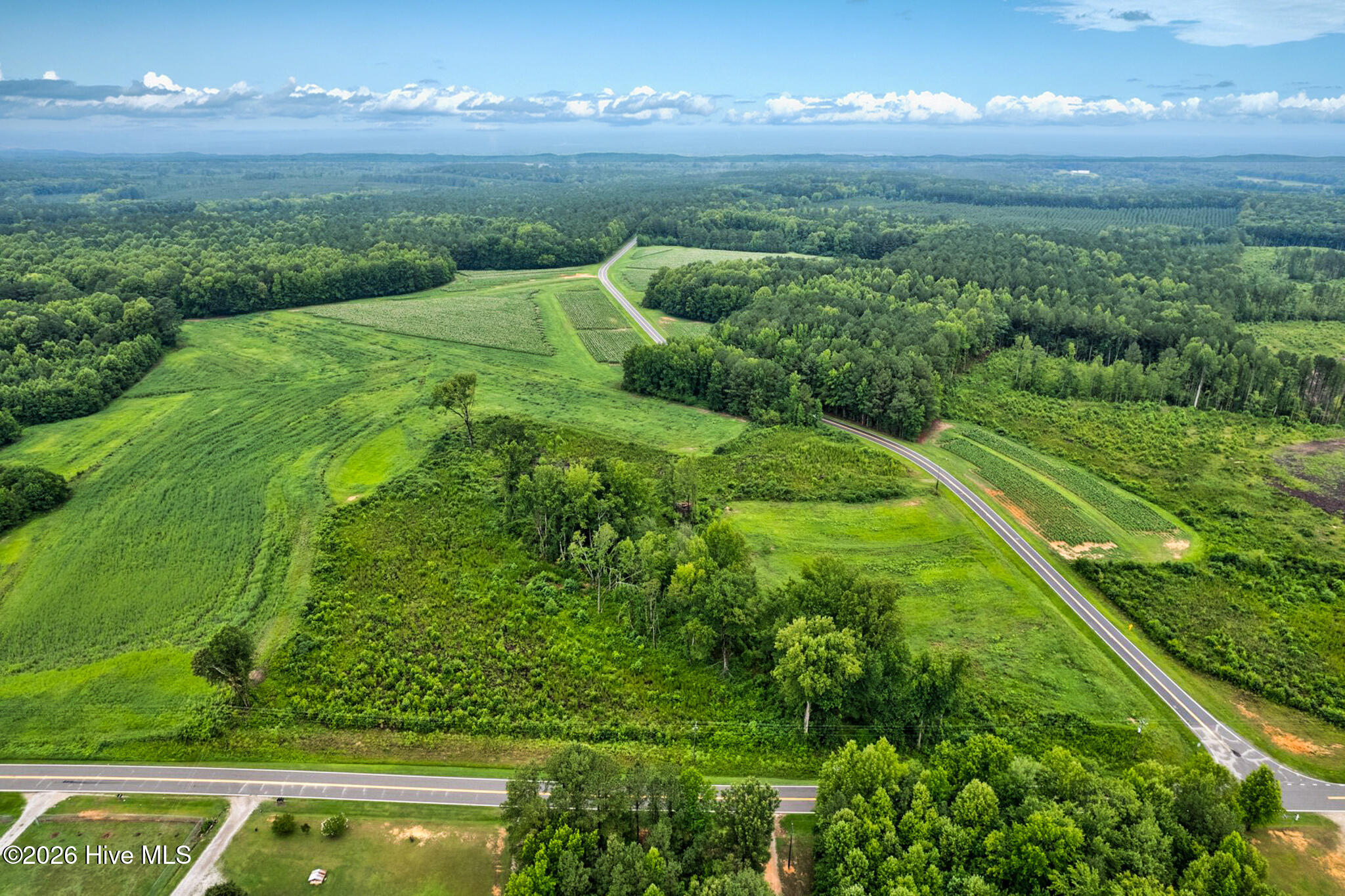 Lot 6 Murray Loop Road Whitakers, NC 27891 - Photo 2 of 3 Gallery Image 2