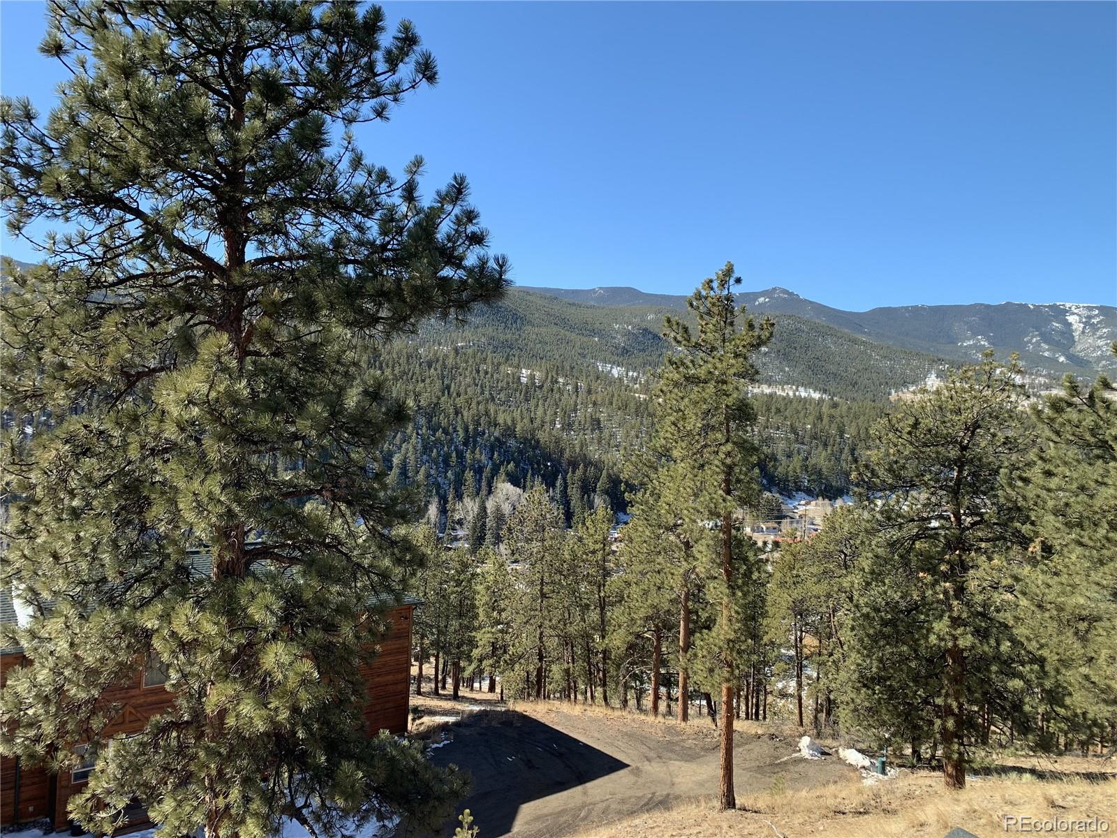 305 Virginia Road, Unit B Bailey, CO 80421 - Photo 37 of 41 Gallery Image 37