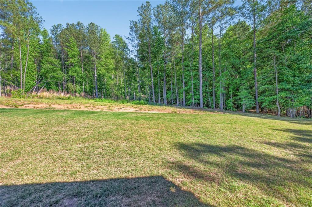 1537 Ridgewood Court Monroe, GA 30656 - Photo 48 of 62