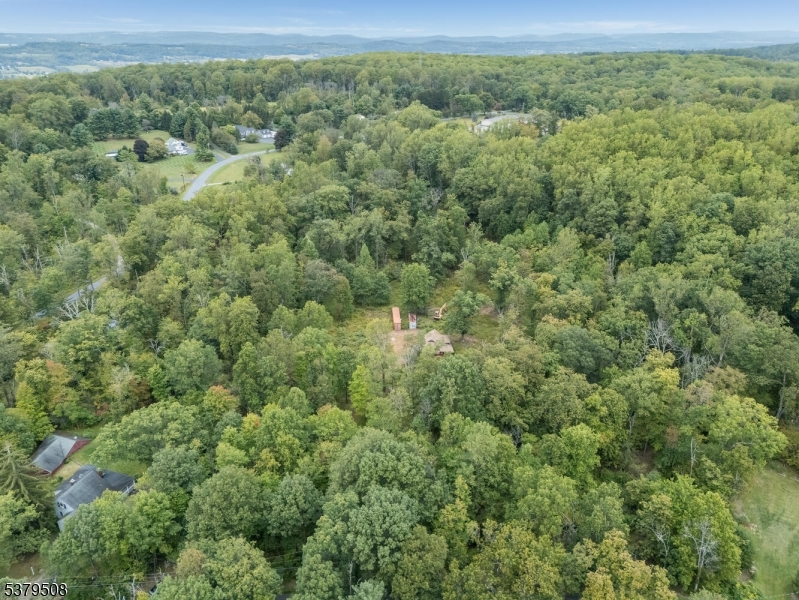 601 Fox Farm Road Asbury, NJ 08802 - Photo 1 of 15 a view of a forest with a street