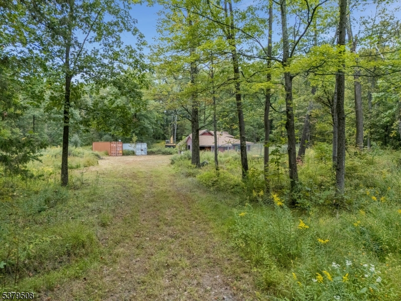 601 Fox Farm Road Asbury, NJ 08802 - Photo 14 of 15 a view of a green field with lots of bushes