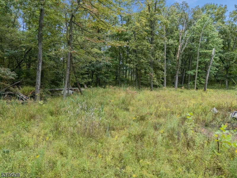 601 Fox Farm Road Asbury, NJ 08802 - Photo 10 of 15 a view of outdoor space and trees