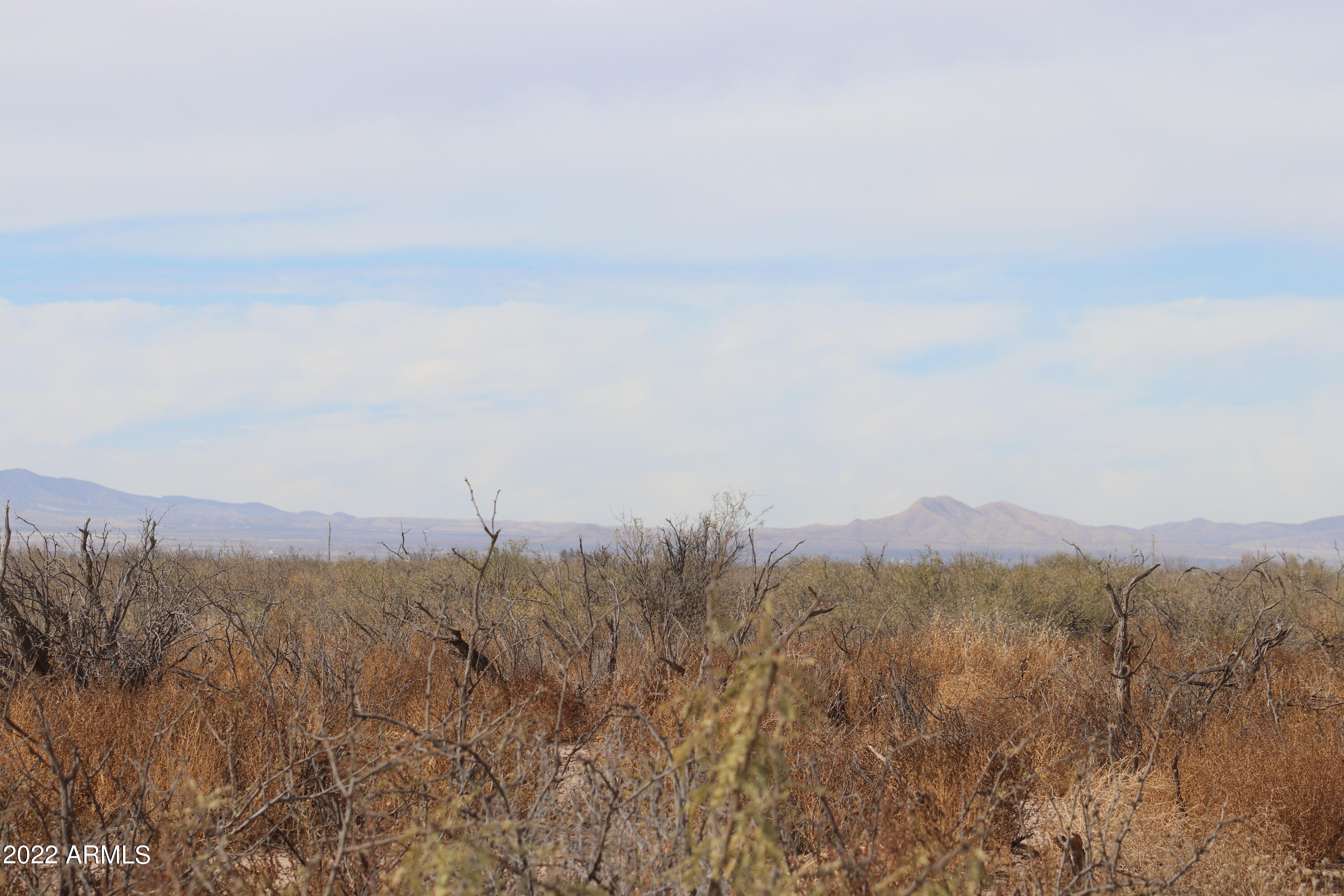 - East Kansas Settlement Road Willcox, AZ 85643 - Photo 12 of 13 IMG_0065