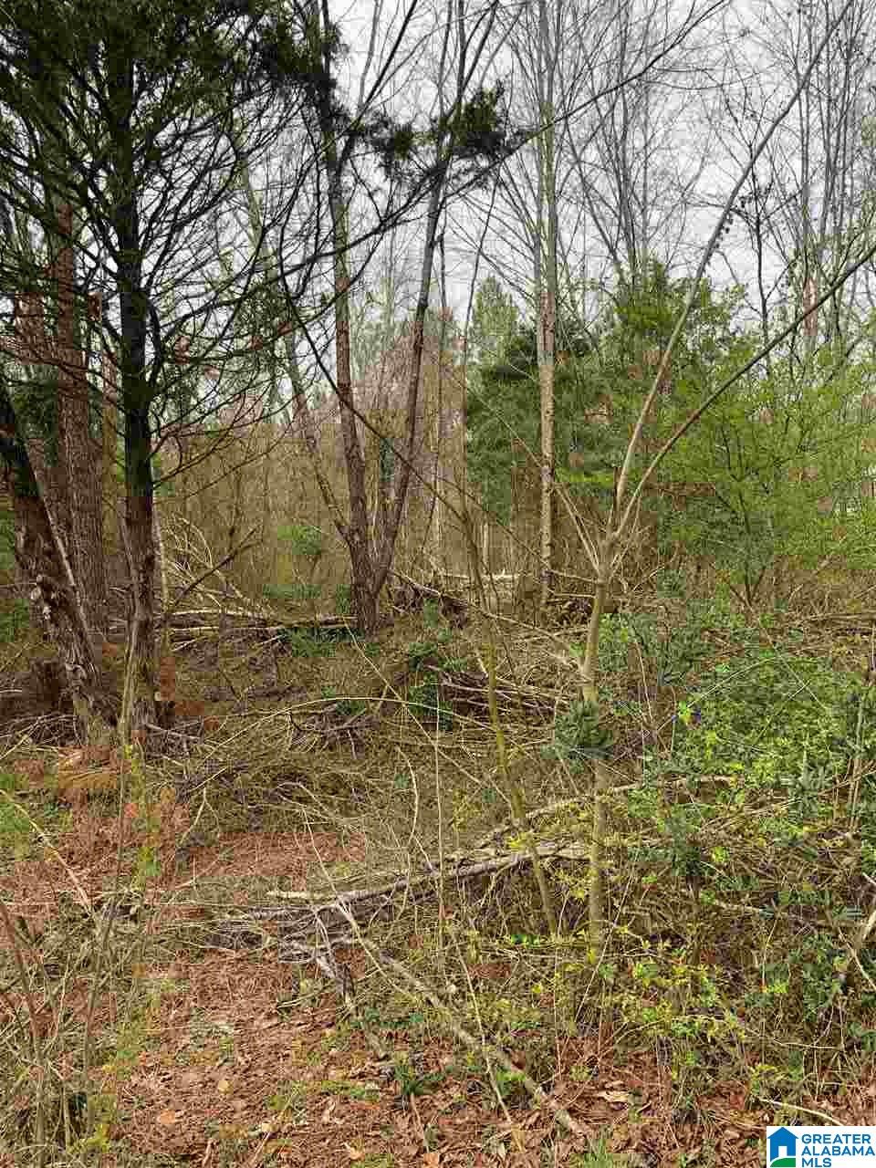 323 Yellow Hammer Road Blountsville, AL 35031 - Photo 4 of 9
