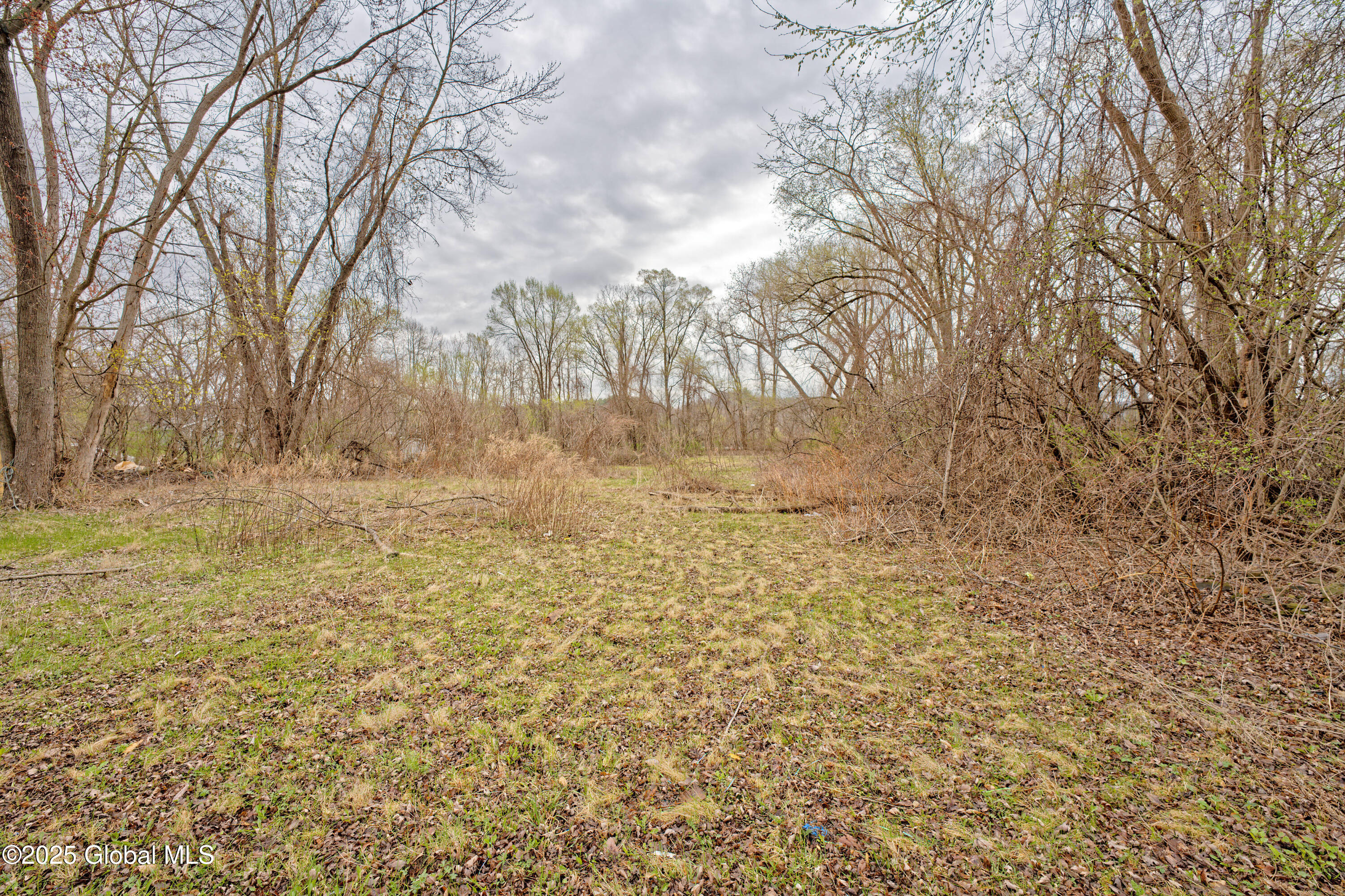 387 Hudson River Road Halfmoon, NY 12188 - Photo 32 of 43 Yard 3