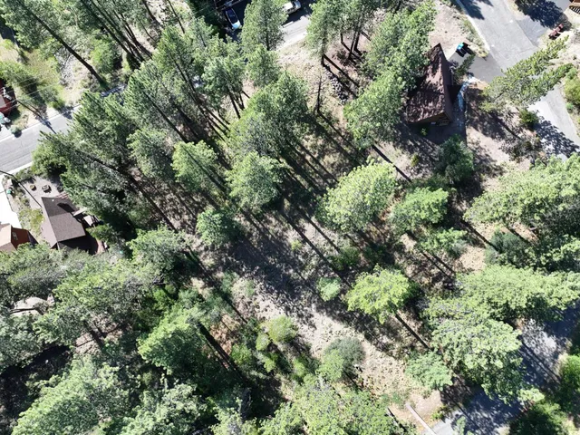 an aerial view of residential house with outdoor space and trees all around
