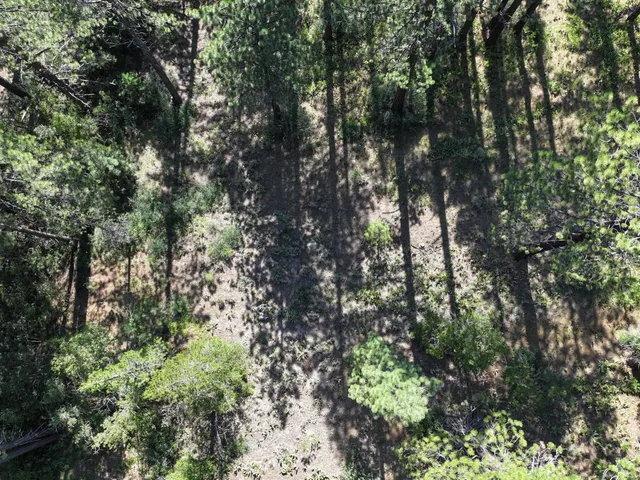 a view of a yard with wooden fence