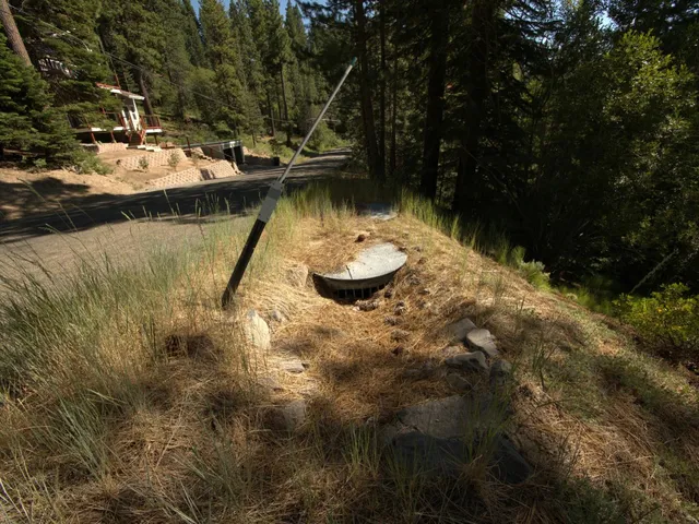 a view of a forest with a street
