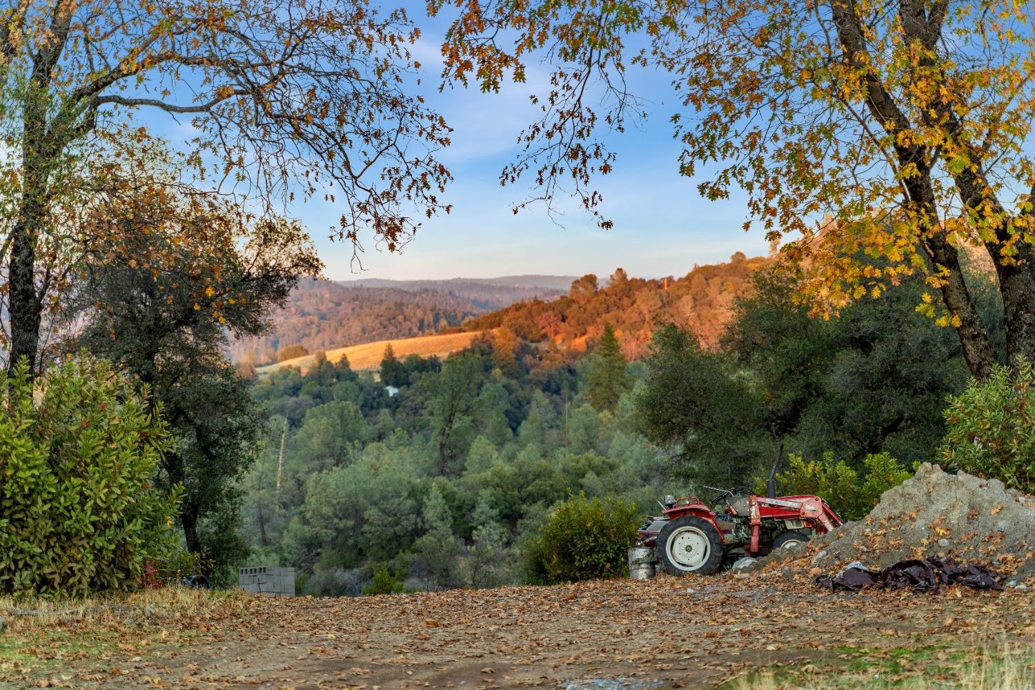 5180 Dream Ranch Circle Placerville, CA 95667 - Photo 9 of 28 Beautiful view of mountain backdrop featuring a heavily wooded area. Tractor has been removed.