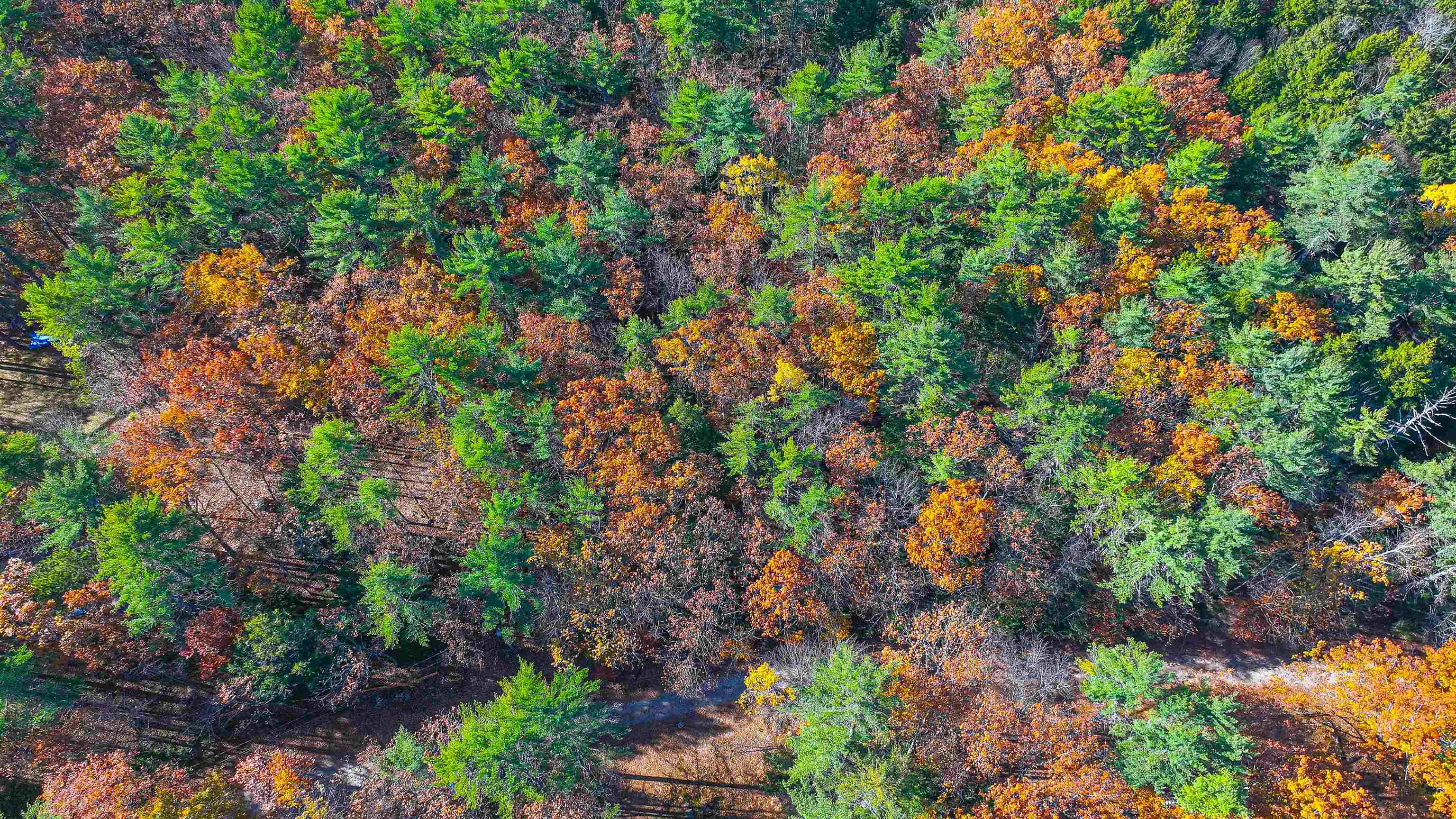 77 Fuller Lane Denmark, ME 04022 - Photo 40 of 46