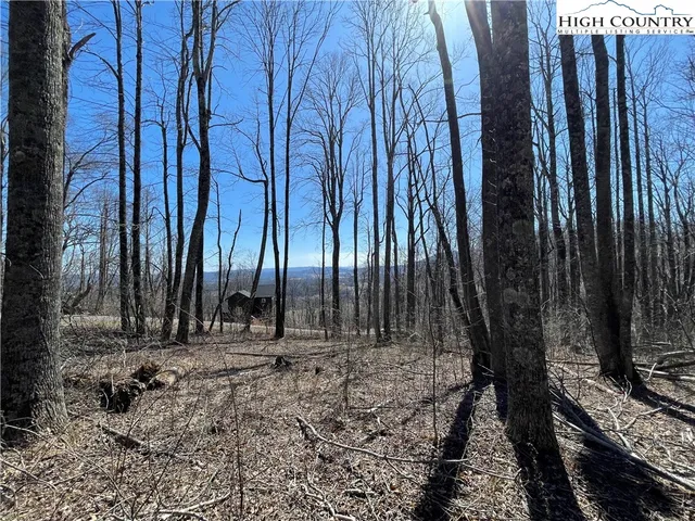a view of backyard with wooden fence