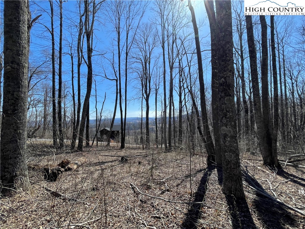 Lot#2 Olde Stone Ridge Lansing, NC 28643 - Photo 12 of 21 a view of a backyard with trees