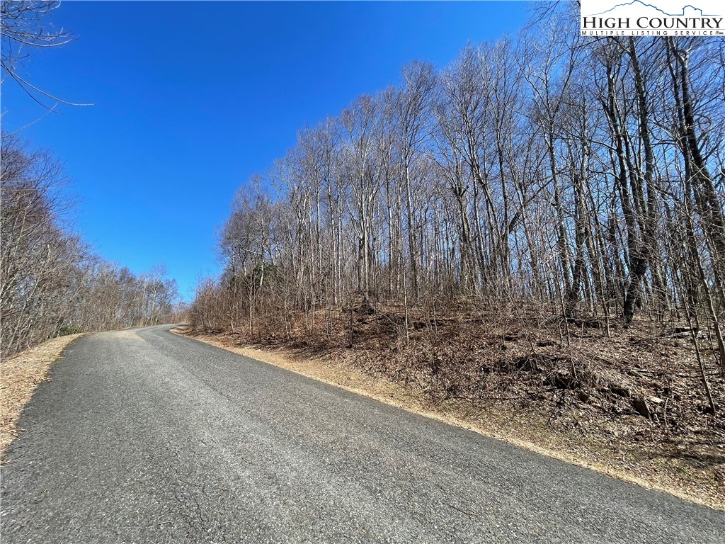 Lot#2 Olde Stone Ridge Lansing, NC 28643 - Photo 14 of 21 a view of a yard with a tree