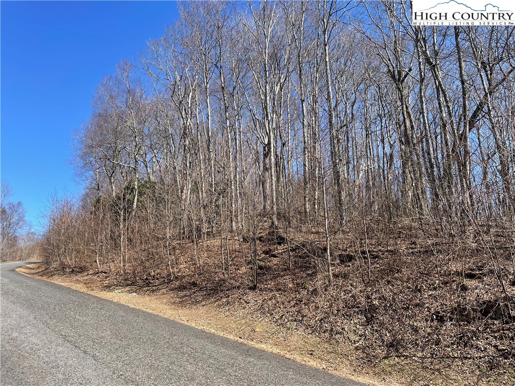 Lot#2 Olde Stone Ridge Lansing, NC 28643 - Photo 14 of 21 a view of backyard with wooden fence