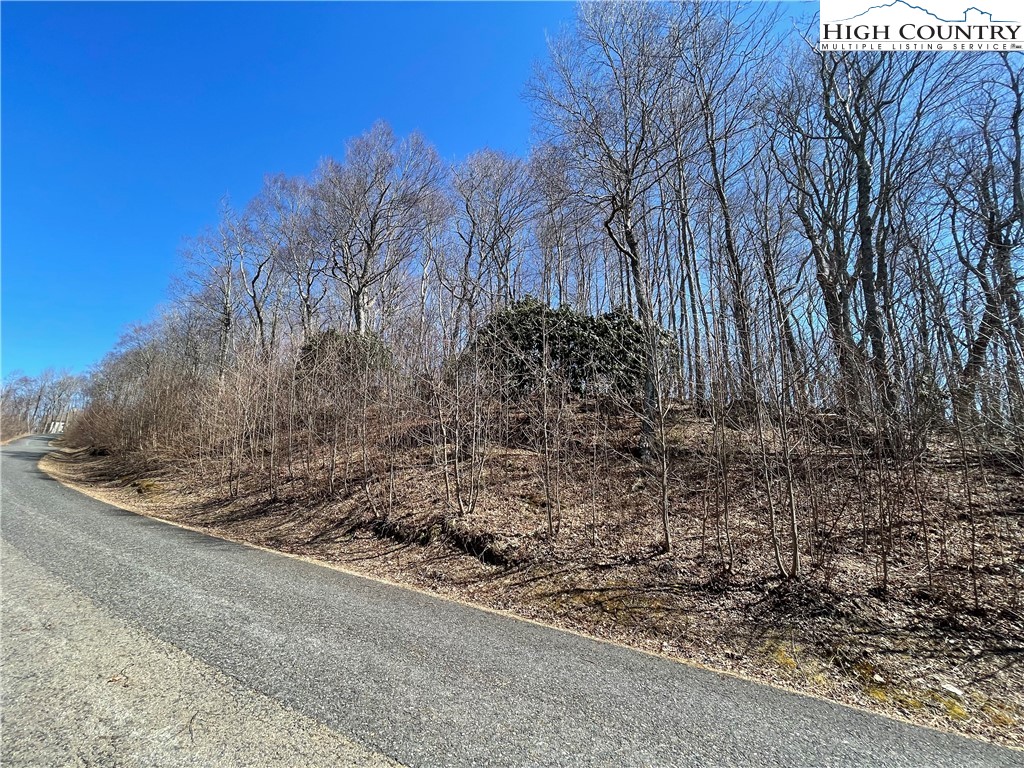 Lot#2 Olde Stone Ridge Lansing, NC 28643 - Photo 15 of 21 a view of a yard with wooden fence