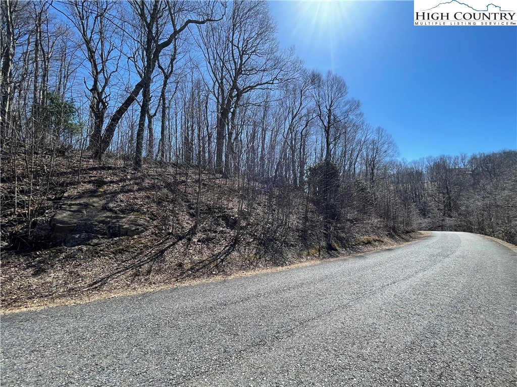 Lot#2 Olde Stone Ridge Lansing, NC 28643 - Photo 16 of 21 a view of a yard with trees