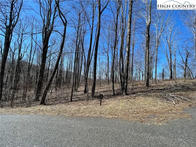 a view of mountain view with lots of trees