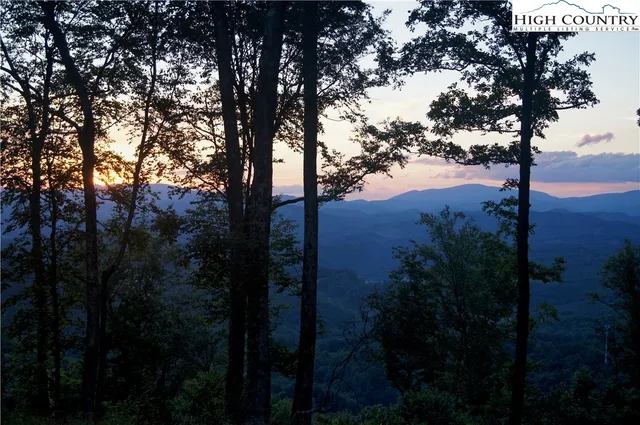 a view of backyard with green space