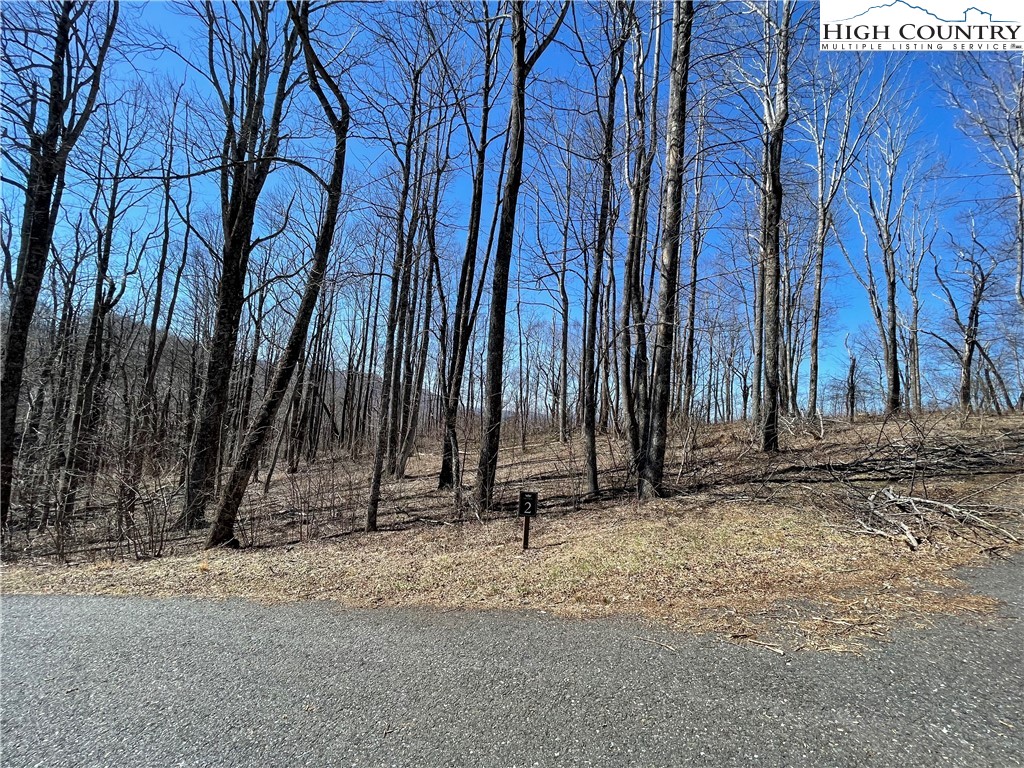 Lot#2 Olde Stone Ridge Lansing, NC 28643 - Photo 18 of 21 a backyard of a house with lots of green space and chair