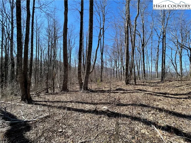 a view of a backyard with green space