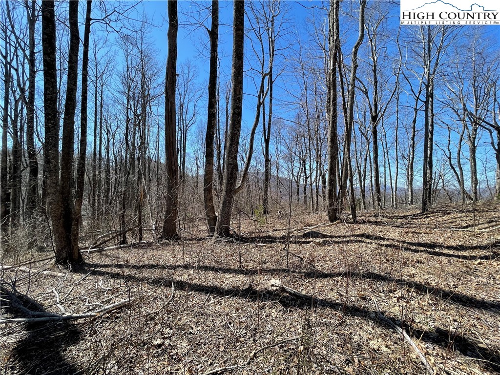 Lot#2 Olde Stone Ridge Lansing, NC 28643 - Photo 2 of 21 a view of a backyard with green space