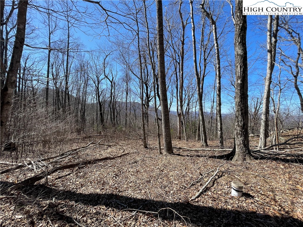 Lot#2 Olde Stone Ridge Lansing, NC 28643 - Photo 4 of 21 a view of a backyard with large trees