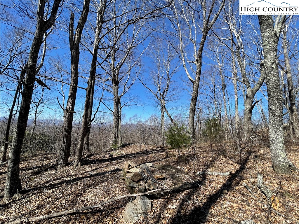 Lot#2 Olde Stone Ridge Lansing, NC 28643 - Photo 5 of 21 a view of a yard with trees