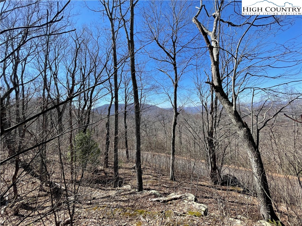 Lot#2 Olde Stone Ridge Lansing, NC 28643 - Photo 7 of 21 a backyard of a house with lots of trees