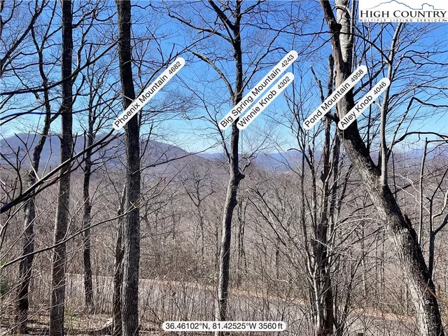 a view of a backyard with large trees