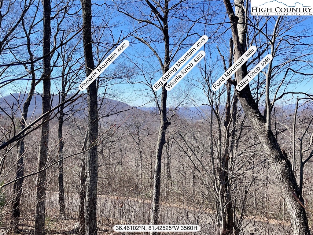 Lot#2 Olde Stone Ridge Lansing, NC 28643 - Photo 7 of 21 a backyard of a house with lots of trees