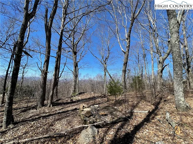 a view of a backyard of the house
