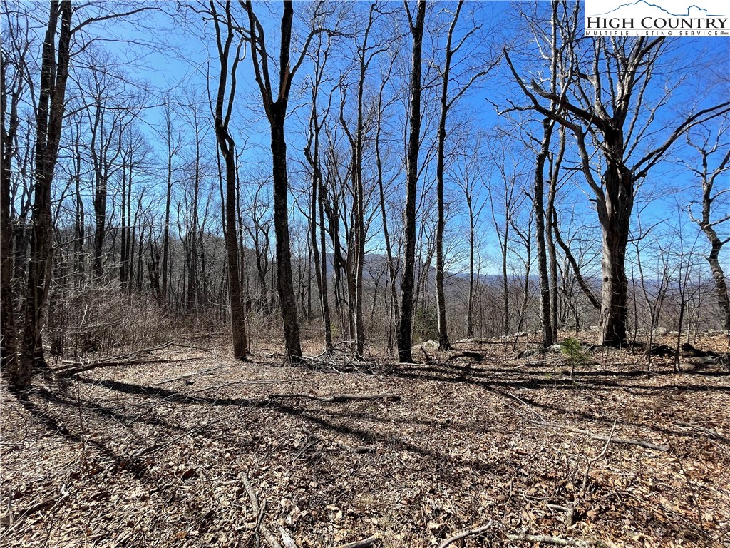 Lot#2 Olde Stone Ridge Lansing, NC 28643 - Photo 10 of 21 a view of a backyard of the house