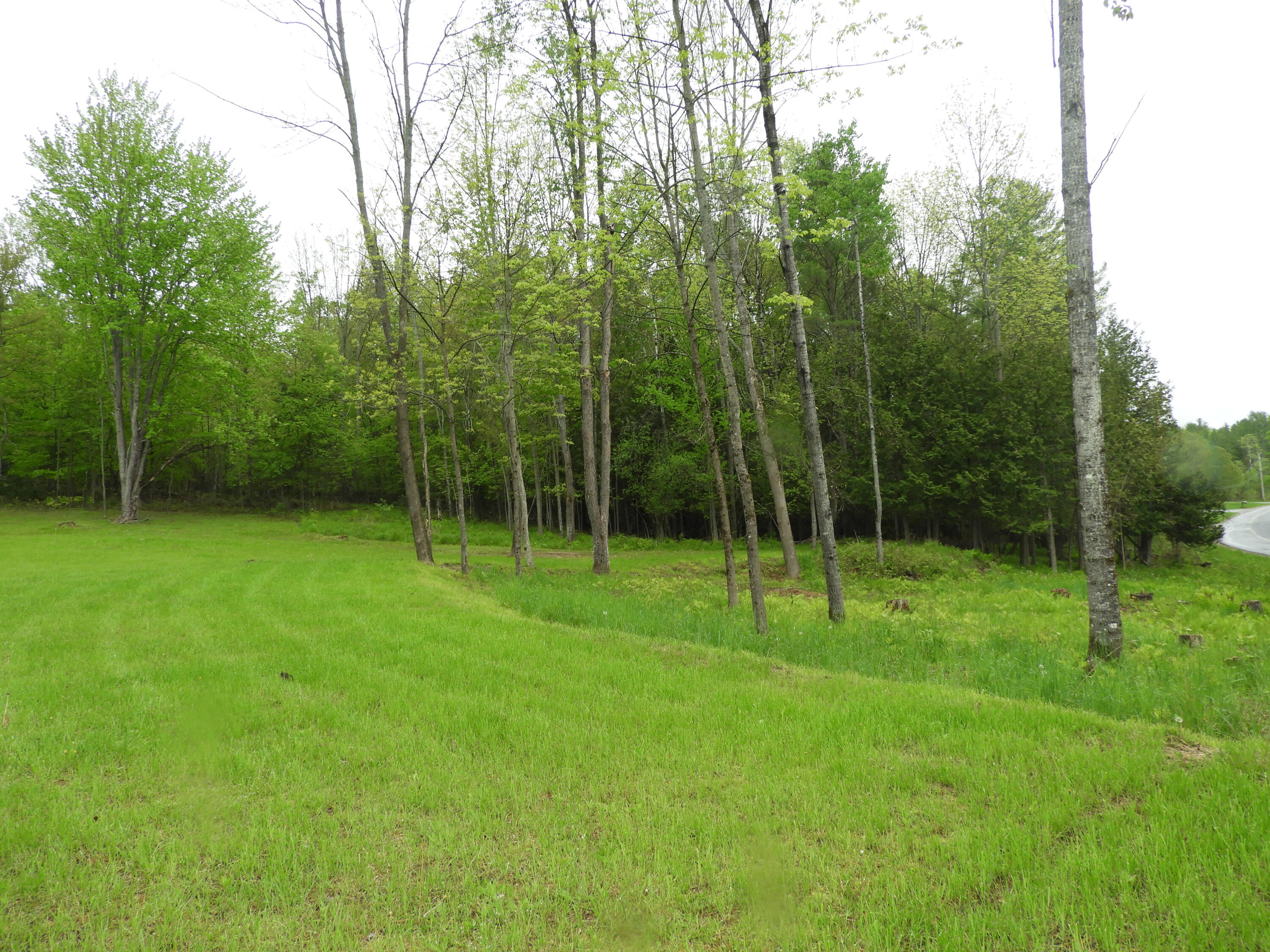 0 Bucks Corners Road Saranac, NY 12981 - Photo 11 of 11 DSCN3385
