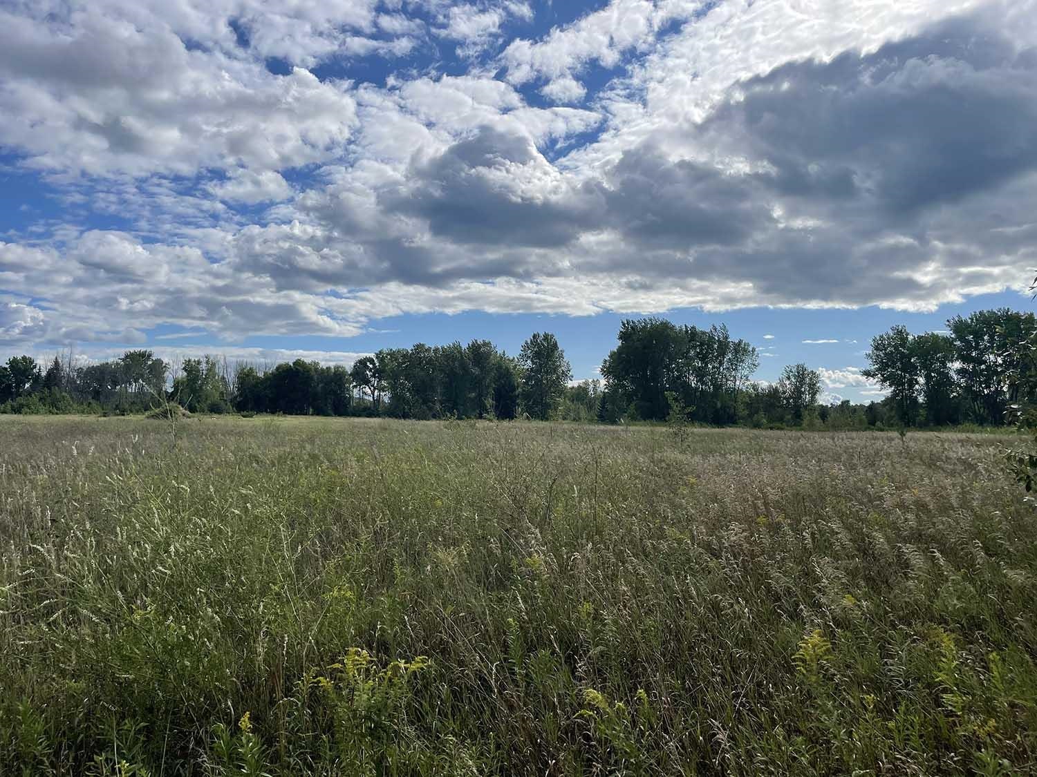 Summerset Circle, Unit 5 Sturgeon Bay, WI 54235 - Photo 2 of 8